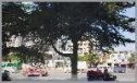 华龙福邸实景图