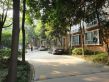 丽水青城银杏苑实景图