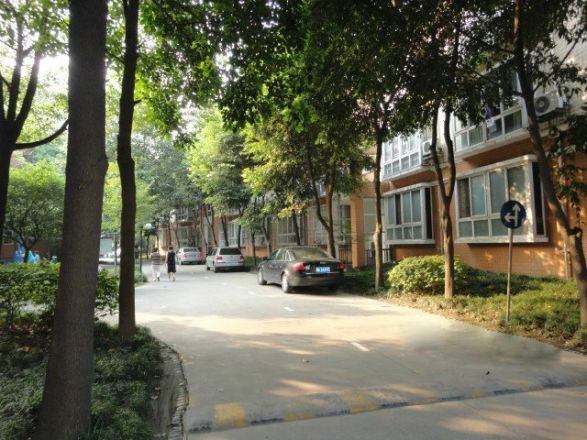 丽水青城银杏苑实景图