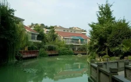 丽水青城银杏苑实景图