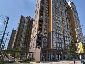 西区地标3室2厅东南