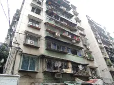 白鹤岭 3室1厅 东南