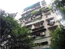 白鹤岭 3室1厅 东南