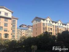 满五唯一房子,中间楼层,户型好