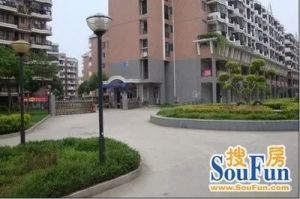 百花洲路省图书馆宿舍南北透通间间有窗户