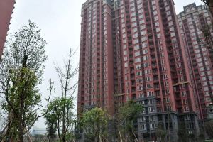 中房学府海棠一期2室2厅西北