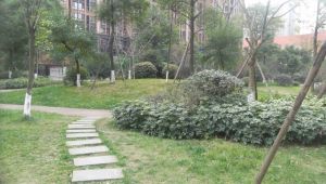 紫东芯座2室1厅南