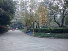 倍特金杏苑B区3室2厅西
