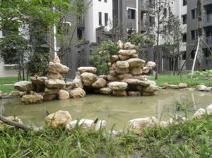 沙西明珠 2室1厅 南