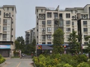 沙西明珠 2室1厅 南