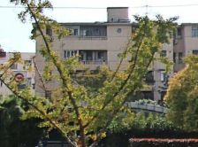 全南户型,大开间,不靠近马路,品质小区