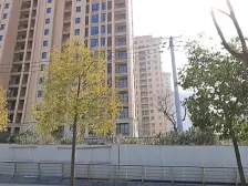 步阳御江金都一期4室南朝向999.00万元/套出售