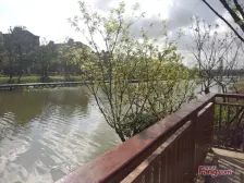 河畔艺墅5室南朝向520.00万元/套出售