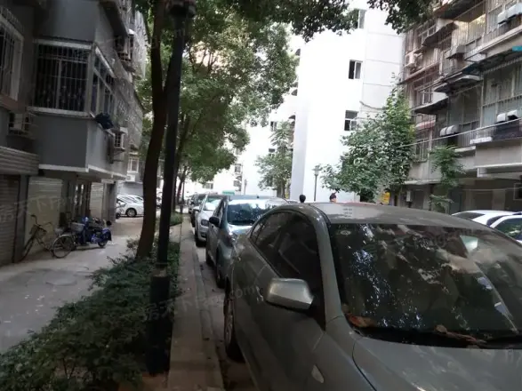 双湖桥小区实景图