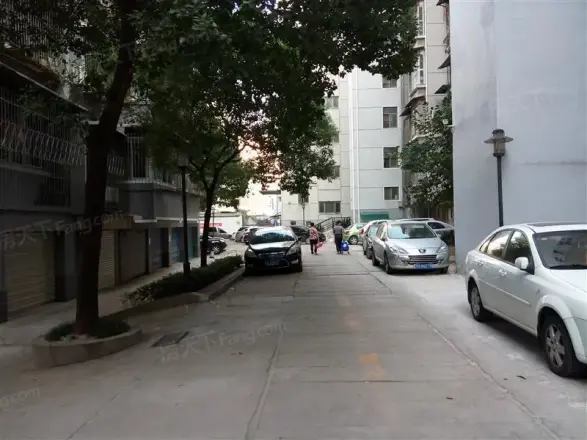 双湖桥小区实景图