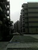 龙虎小区A区3室2厅南