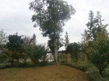 阳光水岸精装修两室,家具家电全留,拎包入住