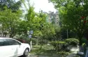 岷江华庭实景图