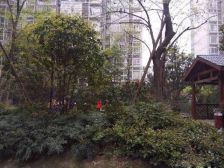尚公馆2室2厅东南
