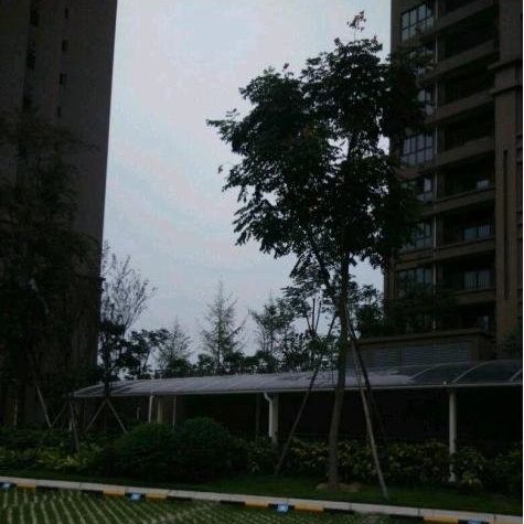 小区相关图