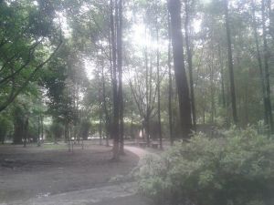 天府石油乐园3室2厅北