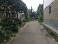 上游槐苑3室2厅东南