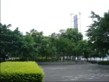 金江港湾 3室2厅 东南