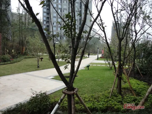 涪陵绿地海域澜屿实景图