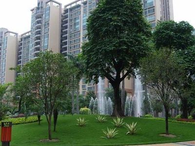 51㎡,广州花都新区锦东花园a区二手房三室