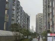 河滨森邻D区 1室1厅 南