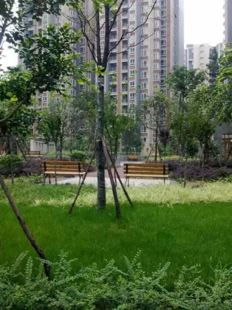 河滨森邻实景图