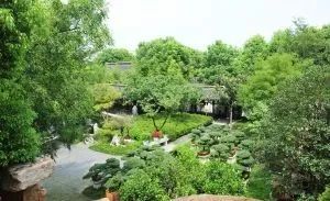 大舞台菜场老城区平房实景图