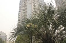 广德花园地区医院诗墙公园