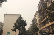 希豪苑二十万楼梯房地区医院永安公园芷兰嘉树