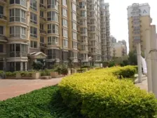 业主诚卖房意度高,挑空客厅楼中别墅,拎包入住