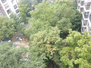 东升国瑞 3室2厅 东北