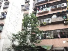 房屋配套成熟,生活便捷,业主诚心出售