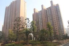纯板房,南北通透,户型周正大两房采光好