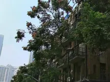 恒隆广场近在咫尺,百年历史,历史保护建筑