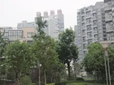 急售!首付7万,园林社区,一级物业,采光视野好一室