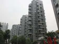 楼层好,采光充足,视野开阔,交通方便环境优美