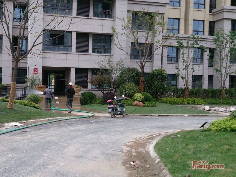 实景图