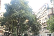 大中佳苑楼梯精装三房拎包入住
