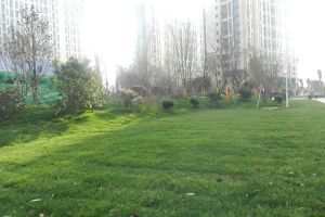 南山雍江汇二期4室2厅南北