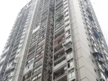 大坪龙湖时代天街旁 双轻轨 产权清晰 业主诚售