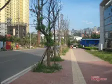 桥南大道 麦格蓝山郡二房35万