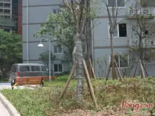 学府路 阳光烟雨二房