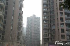 中大君悦金沙七期君逸院3室2厅西南东北