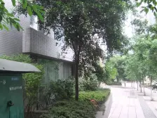 南滨路 海棠晓月A区 正规三房 户型方正