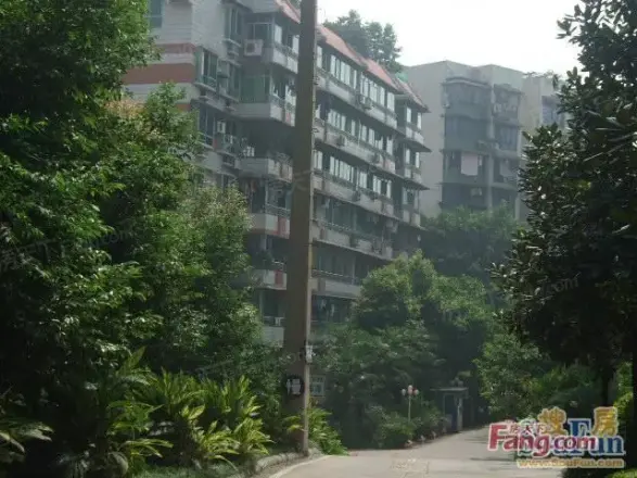 鼓楼巷老小区实景图